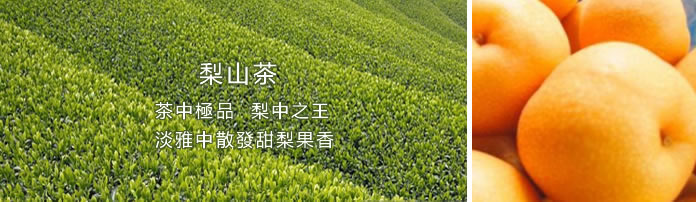 梨山乌龙茶