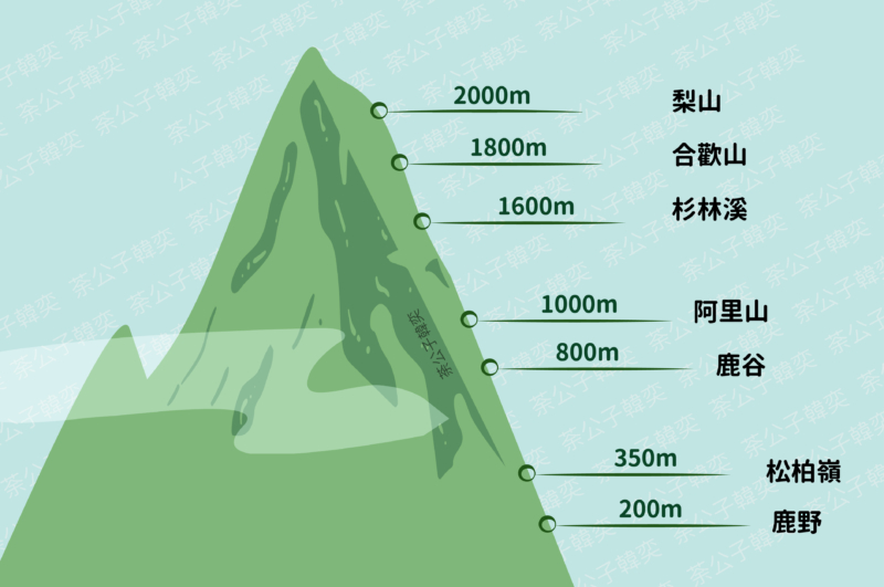 高山茶与平原茶哪个更好